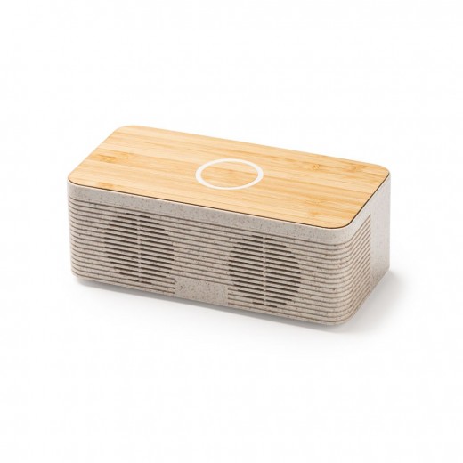 SPEAKER WIRELESS 9079 GOSPEL